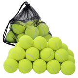24x Tennis Balls Training Sport Dog Pet Throw Cricket Ball Game Beach Outdoor UK
