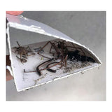 12 SPIDER KILLER TRAPS POISON FREE HOME SAFE CRAWLING INSECT TRAP INDOOR OUTDOOR