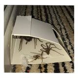 36 Spider Killer Traps Poison Free Crawling Insect Trap Home Safe Indoor Outdoor