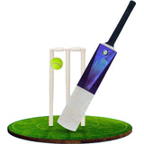 Cricket Set Wooden Bat Ball Stumps Bails Garden Beach Children Adults Size 3