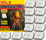 12 SPIDER KILLER TRAPS POISON FREE HOME SAFE CRAWLING INSECT TRAP INDOOR OUTDOOR