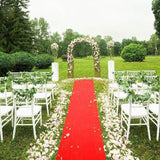 30FT Hollywood VIP Red Carpet Party Floor Runner Prom Birthday Prop Decoration