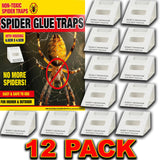 12 SPIDER KILLER TRAPS POISON FREE HOME SAFE CRAWLING INSECT TRAP INDOOR OUTDOOR