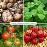 10L Fabric Pot Container Grow Bag Pot Plant Breathable Hydroponics Planter