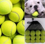 24x Tennis Balls Training Sport Dog Pet Throw Cricket Ball Game Beach Outdoor UK