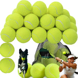 24x Tennis Balls Training Sport Dog Pet Throw Cricket Ball Game Beach Outdoor UK