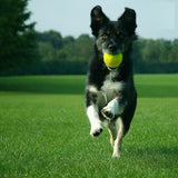 24x Tennis Balls Training Sport Dog Pet Throw Cricket Ball Game Beach Outdoor UK