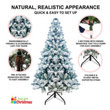 4ft Deluxe Christmas Tree Artificial With LED Lights White Pine Red Berry Cone Stand