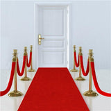 30FT Hollywood VIP Red Carpet Party Floor Runner Prom Birthday Prop Decoration