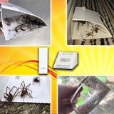 12 SPIDER KILLER TRAPS POISON FREE HOME SAFE CRAWLING INSECT TRAP INDOOR OUTDOOR