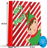 🎅Luxury Christmas Gift Bag With Handles Red Elf Gloss Xmas Present 25x21cm