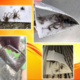 36 Spider Killer Traps Poison Free Crawling Insect Trap Home Safe Indoor Outdoor