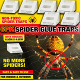 🕷️Spider Killer Traps Poison Free Crawling Insect Trap Home Safe Indoor Outdoor