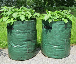 2 x Potato Grow Bags Veg Bag Tomato Bag Planter Grow Your Own Vegetable Sack