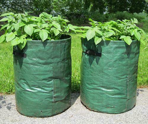 2 x Potato Grow Bags Veg Bag Tomato Bag Planter Grow Your Own Vegetable Sack