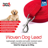 5 Meters Professional Extra Long Dog Recall Training Lead - Buystarget