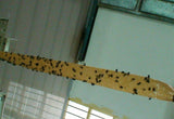 buystarget - 10 X Fly Killer Flying Insect Catcher Flies Mosquito Bug Wasp Trap Tape Strip - Business, Office & Industrial:Cleaning & Janitorial Supplies:Pest Control Supplies:Insect Traps & Lures:Insect Traps:Insect Zappers