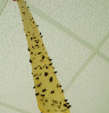 buystarget - 10 X Fly Killer Flying Insect Catcher Flies Mosquito Bug Wasp Trap Tape Strip - Business, Office & Industrial:Cleaning & Janitorial Supplies:Pest Control Supplies:Insect Traps & Lures:Insect Traps:Insect Zappers