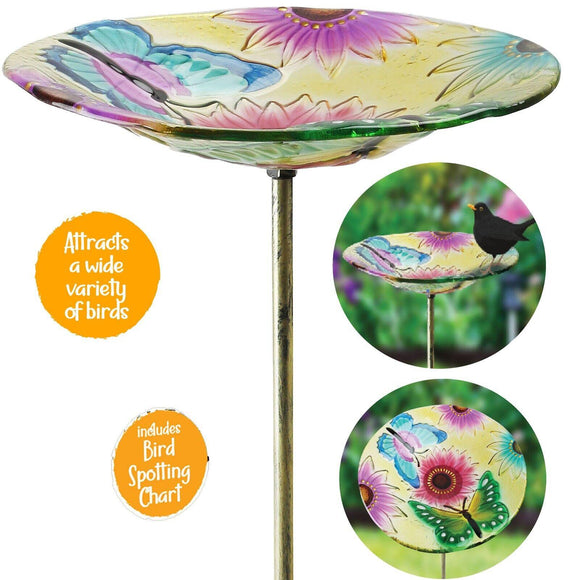 Glass Bird Bath Feeder Bowl Wild Bird Table Station Outdoor Garden Decor UK