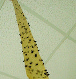 8x Fly Insect Catcher Killer Trap Strip Pest Bug Wasp Ants Window Office Home