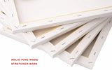Framed Artist Canvas 40x30cm Art Blank Board Plain Painting Stretched White UK - Buystarget