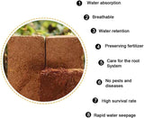 Premium Coco Coir Peat Brick Organic Block Multi Purpose Compost Grow Substrate