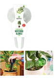 4pc Slow Release Watering Globes Self Bulbs Plants Flowers Ball Feeder System