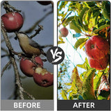 Multi Purpose Garden Netting Anti Bird Pond Plants Veg Fruit Protect Fine Mesh