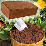 Premium Coco Coir Peat Brick Organic Block Multi Purpose Compost Grow Substrate