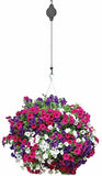 2 x RETRACTABLE HANGING BASKET PULLEY WALL BRACKET HANGING GARDEN PLANT HOOK