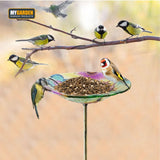 Glass Bird Bath Feeder Bowl Wild Bird Table Station Outdoor Garden Decor UK