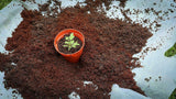 Premium Coco Coir Peat Brick Organic Block Multi Purpose Compost Grow Substrate
